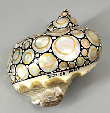 Ateliers conch shell for sale  Madison