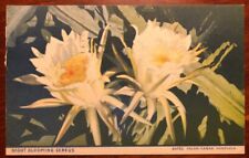 Night Blooming Cereus Hawaii printed 1939 Bates Color-Cards Honolulu for sale  Shipping to South Africa