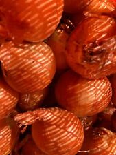 Red shallot sets for sale  CAMBRIDGE