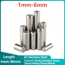 Alfileres de cilindro de 1 mm-6 mm alfileres de sujeción A2 acero inoxidable 1,5/2/3/5 mm segunda mano  Embacar hacia Argentina