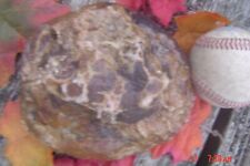 Geode kentucky 3.9 for sale  Crab Orchard