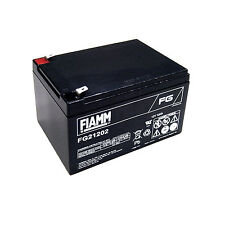 Fiamm fg21202 batteria usato  Conegliano