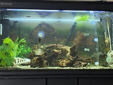 Cabinet Aquarium Tropical Fish Tank  300L for sale  SWANSEA