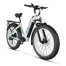 Vélo électrique 750w d'occasion  France