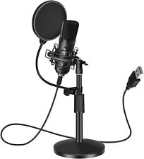 Microfono professionale usb usato  Melito Di Napoli