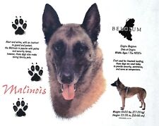 Malinois breed shirts d'occasion  Expédié en Belgium