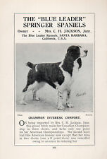 Usado, INGLÊS SPRINGER SPANIEL ANTIGO VINTAGE 1934 PÁGINA DE IMPRESSÃO DE CACHORRO CANIL LÍDER AZUL EUA comprar usado  Enviando para Brazil