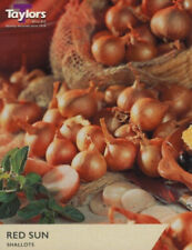 Grow shallots red for sale  ST. AUSTELL