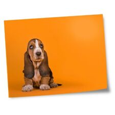 8x10 prints basset for sale  SELBY