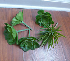 Artificial mini succulent for sale  Indianapolis