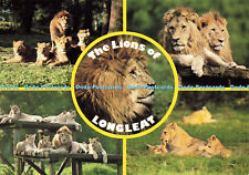 D164535 lions longleat. for sale  WARLINGHAM