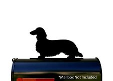 Long haired dachshund for sale  Newnan
