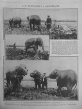 1914 elephant menagerie d'occasion  Saint-Etienne