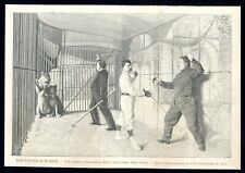 Fencing lion cage....antique d'occasion  Saint-Cyprien