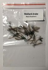 Mallard drake neck for sale  BATTLE