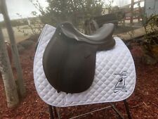 Collegiate purpose saddle for sale  Santa Fe