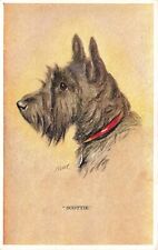 Early scottish terrier for sale  LLANELLI