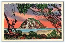 c1940s Morro Rock Morro Bay San Luis Obispo County Califórnia CA Trees Cartão Postal, usado comprar usado  Enviando para Brazil