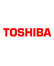 Toshiba trasportatore carica usato  Pozzuoli