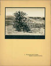 Enrique Cervantes, Mexico, Panorama de la Ciudad desde el cerro de Carretas  Vin comprar usado  Enviando para Brazil