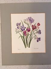 watercolour paintings botanical for sale  ASCOT
