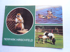 Hirschfeld tierpark meerkatze gebraucht kaufen  Deutschland
