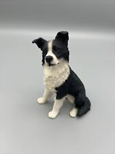 Border collie castagna for sale  DORCHESTER