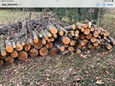 uncut firewood for sale  Murfreesboro