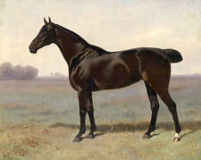 Pintura a óleo pintada à mão lindo cavalo preto com cauda curta no deserto 36" comprar usado  Enviando para Brazil