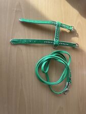 Ferret coutuf leash for sale  BROMYARD