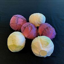 Artificial cabbages faux for sale  El Cajon