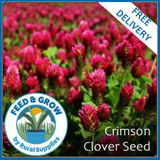 Crimson clover seeds for sale  GOOLE