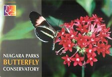 Niagara Parks Butterfly Conservatory Heliconius Rosina or the Rosina Postcard, used for sale  Shipping to South Africa