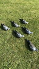 Pigeon decoys large for sale  BRIGG