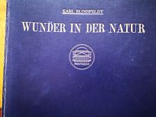 Karl blossfeldt wunder gebraucht kaufen  Wachtberg