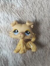 LPS Littlest Pet Shop Authentic Collie 1194 na sprzedaż  PL