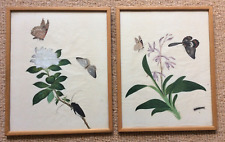 Two botanical insect for sale  ORPINGTON