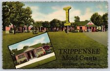 Postcard trippensee motel for sale  Saco