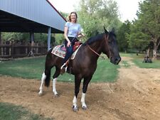 Dakota barrel racer for sale  Dallas