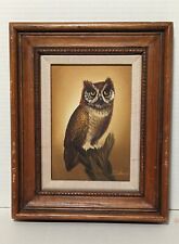 Great horned owl for sale  Albuquerque