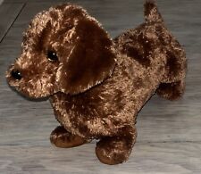Brown dog dachshund for sale  North Babylon