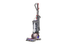 Dyson up24 animal for sale  SPALDING