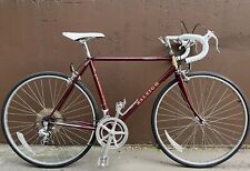 Vintage raleigh olympian for sale  Marietta