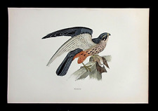 Hobby falcon original for sale  ILKLEY