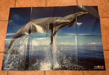 Medizini poster delfine gebraucht kaufen  Husum