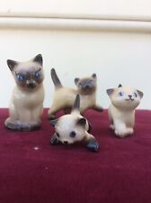 blue eyed kittens for sale  Fords