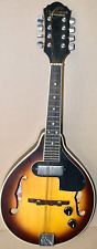 acoustic electric mandolin for sale  Bristol