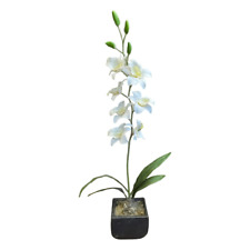 Artificial orchid plant for sale  Boyds