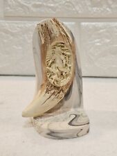 bear tooth for sale  Cosby