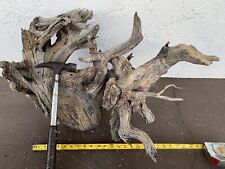 Large tree root for sale  Prescott